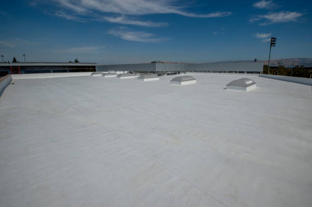 Best Roof Ventilation Installation  in South Monroe, MI