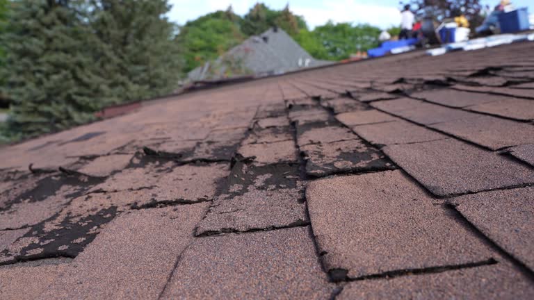 Best Emergency Roof Repair Services  in South Monroe, MI