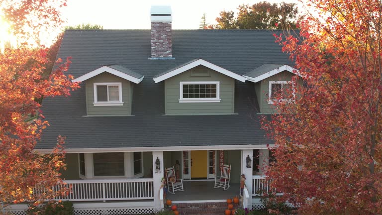 Best Gutter Installation and Repair  in South Monroe, MI