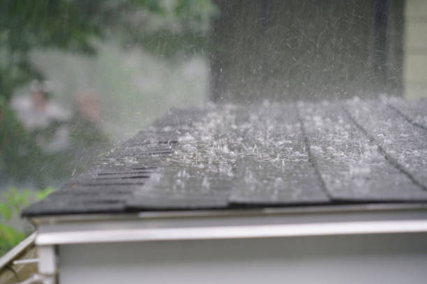 Best Roof Leak Repair  in South Monroe, MI