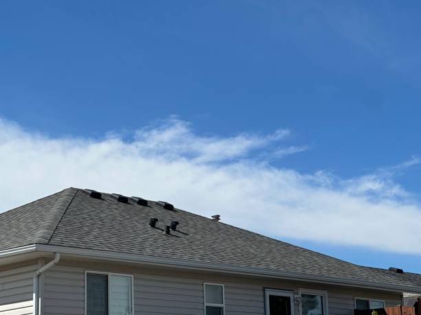Best Roof Installation  in South Monroe, MI